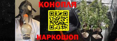 стаф Обь