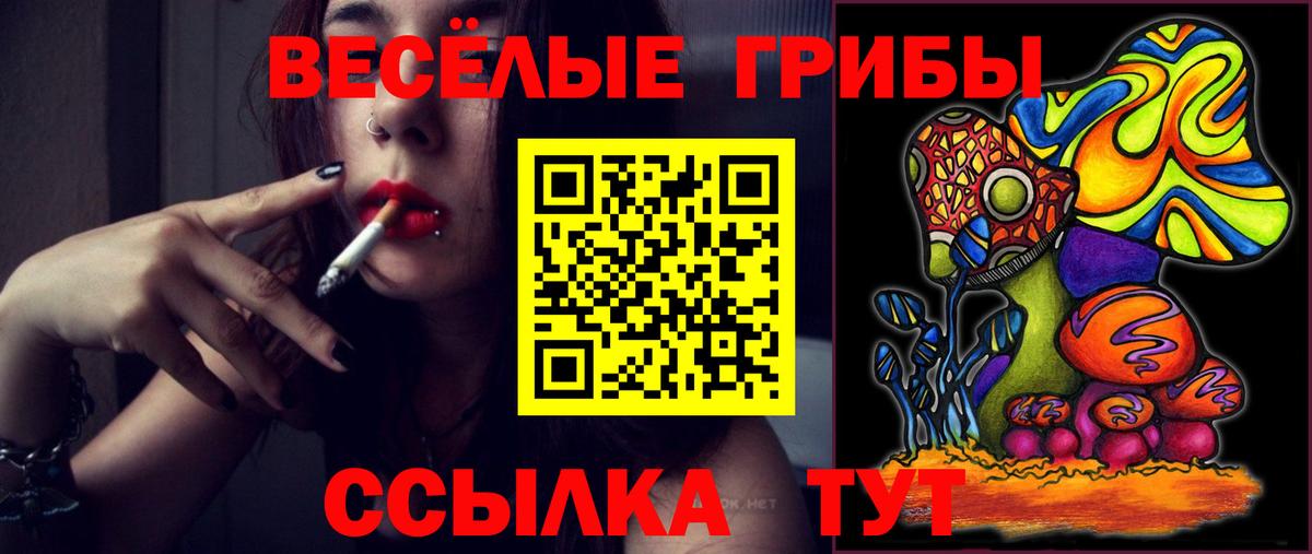 Советск  Псилоцибиновые грибы прущие грибы  Вход с VPN 