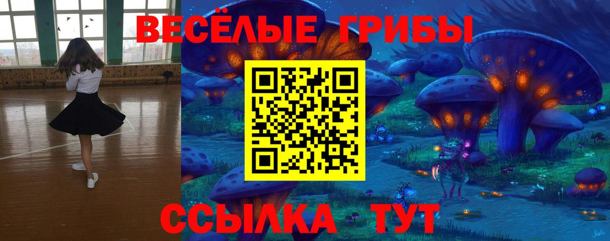 Галлюциногенные грибы мухоморы Советск
